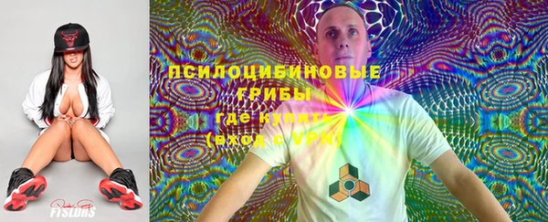 ECSTASY Ладушкин
