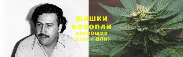 ECSTASY Ладушкин