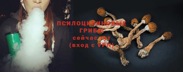ECSTASY Ладушкин