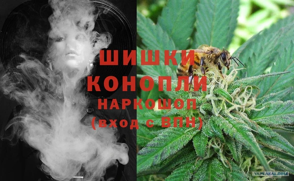 ECSTASY Ладушкин