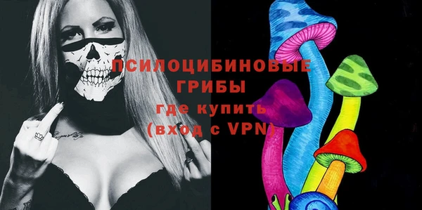 ECSTASY Ладушкин