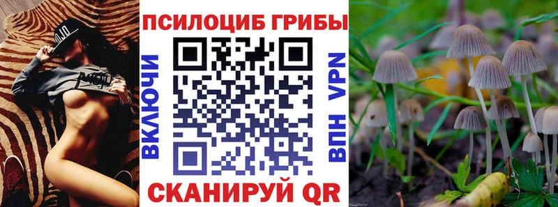 Галлюциногенные грибы Psilocybe даркнет официальный сайт Дудинка hydra как зайти